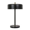 Миниатюра фото настольная лампа arte lamp skat a7052lt-2bk | 220svet.ru