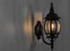 Миниатюра фото уличный настенный светильник feron классика 8101 11096 | 220svet.ru