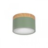Миниатюра фото накладной светодиодный светильник loft it grape 10162 green | 220svet.ru