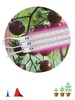 Миниатюра фото модульный светодиодный светильник для растений эра fito-3х10w-line-rb90 б0050924 | 220svet.ru