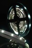 Миниатюра фото лента swg 7,2w/m  30led/m 5050smd холодный белый 5m swg530-12-7.2-w-м 009261 | 220svet.ru