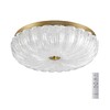 Миниатюра фото потолочный светодиодный светильник sonex tesoro 7719/48l золотой | 220svet.ru