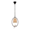 Миниатюра фото подвесной светильник loft it birds loft1029a-1 | 220svet.ru