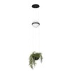Миниатюра фото подвесной светильник loft it jardin 10121/b | 220svet.ru