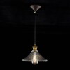 Миниатюра фото подвесной светильник citilux эдисон cl450106 | 220svet.ru