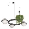 Миниатюра фото подвесной светодиодный светильник loft it jardin 10121/3 dark grey | 220svet.ru