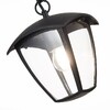 Миниатюра фото уличный подвесной светильник st luce sivino sl081.403.01 | 220svet.ru
