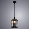 Миниатюра фото подвесной светильник arte lamp arwen a1902sp-1bk | 220svet.ru