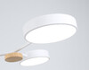 Миниатюра фото потолочная светодиодная люстра на штанге ambrella light linetech fl fl4858/4 wh/wd | 220svet.ru