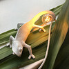 Миниатюра фото настенный светильник chameleon going down usb seletti | 220svet.ru