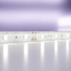 Миниатюра фото светодиодная влагозащищенная лента maytoni technical 7,2w/m холодный белый 5m 20006 | 220svet.ru