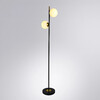 Миниатюра фото торшер arte lamp alcor a2224pn-2bk | 220svet.ru