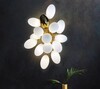 Миниатюра фото бра alfa light f0124-11 | 220svet.ru