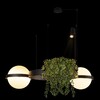 Миниатюра фото подвесной светодиодный светильник loft it jardin 10121/2 dark grey | 220svet.ru