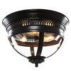 Миниатюра фото потолочный светильник loft it loft3319-bl | 220svet.ru