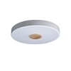 Миниатюра фото потолочный светодиодный светильник loft it 10003/24 white | 220svet.ru