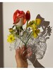 Миниатюра фото ваза love in bloom seletti 09922 | 220svet.ru