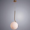 Миниатюра фото подвесной светильник arte lamp bolla-unica a1922sp-1ab | 220svet.ru
