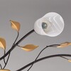 Миниатюра фото потолочная люстра mw-light восторг 242015206 | 220svet.ru