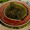 Миниатюра фото тарелка costa nova nap275-01616g | 220svet.ru