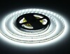Миниатюра фото светодиодная лента холодный белый ambrella light 20w/m 240led/m 2835smd 6500к 5m gs3403 | 220svet.ru