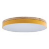 Миниатюра фото потолочный светодиодный светильник loft it axel 10001/36 yellow | 220svet.ru
