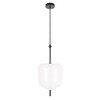 Миниатюра фото подвесной светодиодный светильник loft it venice 10223/d white | 220svet.ru
