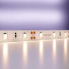 Миниатюра фото светодиодная лента maytoni technical 7,2w/m теплый белый 5m 20001 | 220svet.ru