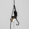 Миниатюра фото подвесной светильник monkey lamp ceiling seletti | 220svet.ru