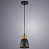 Миниатюра фото подвесной светильник arte lamp eurica a4248sp-1bk | 220svet.ru