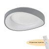 Миниатюра фото потолочный светодиодный светильник myfar ceiling diona mr9190-cl | 220svet.ru