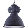 Миниатюра фото подвесной светильник arte lamp loft a5014sp-1bg | 220svet.ru
