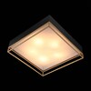 Миниатюра фото потолочный светильник st luce chodo sl1127.422.05 | 220svet.ru