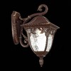 Миниатюра фото уличный настенный светильник st luce chiani sl083.701.01 | 220svet.ru