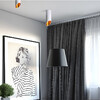 Миниатюра фото потолочный светильник imperium loft lamps 194973-26 | 220svet.ru