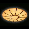 Миниатюра фото потолочный светодиодный светильник ambrella light orbital parrus fp2314l wh 210w d740 | 220svet.ru