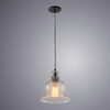 Миниатюра фото подвесной светильник arte lamp amiata a4255sp-1sm | 220svet.ru