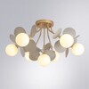 Миниатюра фото потолочная люстра arte lamp peacock a1369pl-7gy | 220svet.ru