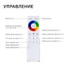 Миниатюра фото контроллер 3-х зонный rgb - rgbw apeyron 12/24v сенсорный пульт 04-48 | 220svet.ru