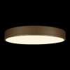 Миниатюра фото потолочный светодиодный светильник loft it flims 10228/a | 220svet.ru