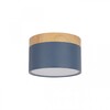 Миниатюра фото накладной светодиодный светильник loft it grape 10162 blue | 220svet.ru