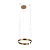 Миниатюра фото подвесной светодиодный светильник loft it ring 10013s | 220svet.ru