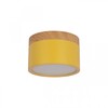 Миниатюра фото накладной светодиодный светильник loft it grape 10162 yellow | 220svet.ru