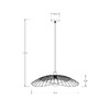 Миниатюра фото подвесной светильник arte lamp woodstock a7061sp-1bk | 220svet.ru