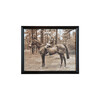 Миниатюра фото картина мальчик на лошади roomers to-aipot392bohrftz | 220svet.ru