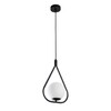 Миниатюра фото подвесной светильник arte lamp matisse a7764sp-1bk | 220svet.ru