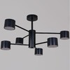 Миниатюра фото потолочная люстра reluce 47206-0.3-06bk | 220svet.ru
