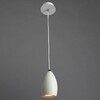 Миниатюра фото подвесной светильник arte lamp atlantis a4004sp-1wh | 220svet.ru