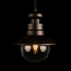 Миниатюра фото уличный подвесной светильник loft it piemonte 100022p | 220svet.ru