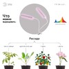 Миниатюра фото светодиодный светильник для растений эра fito-20w-аled-l б0049550 | 220svet.ru